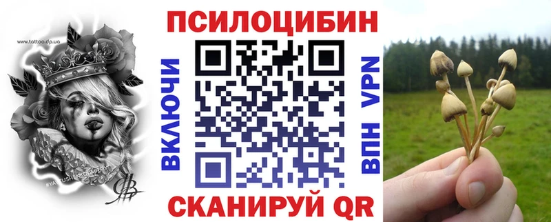 купить наркоту мега сайт Галлюциногенные грибы MAGIC MUSHROOMS Бобров